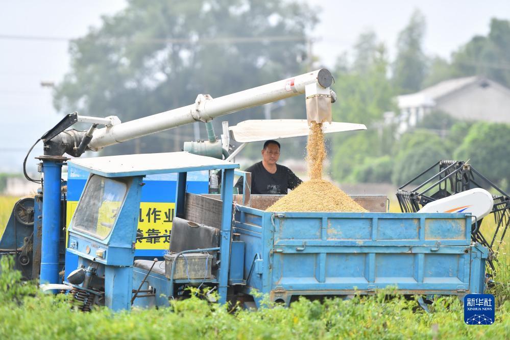 合乐888电脑版登录